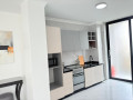kimihurura-nice-furnished-apartment-for-rent-in-kigali-small-7