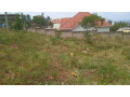 kigali-land-for-sale-in-kimironko-small-2