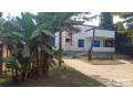 plot-for-sale-small-4