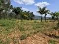 muyange-small-3