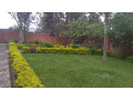 house-for-sale-in-kacyiru-going-for-400million-francs-negotiable-small-13