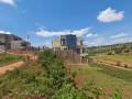 muyange-small-5