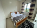 full-furnished-apartment-for-rent-in-kacyiru-small-5