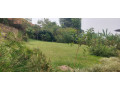 semi-furnished-house-available-for-rent-at-kiyovu-small-8