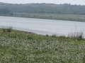 bugesera-land-for-sale-in-rilima-small-4