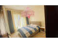kimihurura-very-nice-clean-fully-furnished-apartments-for-rent-in-very-good-neighborhood-small-8