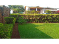 kigali-land-for-sale-in-remera-small-5