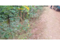 kigali-land-for-sale-in-nyamirambo-small-4