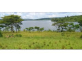 plot-for-sale-in-rwamagana-small-4