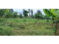 piot-for-sale-in-rugende-at-agood-place-small-1