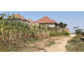 kimironko-zindiro-plots-for-sale-50m-small-2