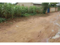 residential-plot-for-sale-in-bugesera-near-airport-hot-deal-small-0