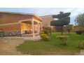 kigali-house-for-sale-in-remera-small-5