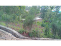 land-for-sale-small-1