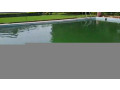 kigali-pool-house-available-for-rent-in-kiyovu-small-4
