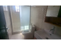 gacuriro-furnished-apartment-for-rent-in-kigali-small-9