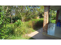 kiyovu-plot-for-sale-small-4