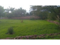 kigali-land-for-sale-in-kinyinyi-small-5