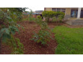 kigali-house-for-sale-in-gisozi-small-8