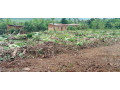 property-for-sale-in-masaka-small-1