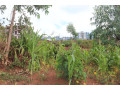 plot-for-sale-in-bugesera-near-airport-hot-deal-small-2