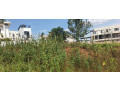 rusororo-plot-for-sale-150m-small-3