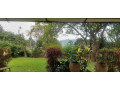 fully-furnished-house-available-for-rent-at-kimihurura-near-indabo-cafe-small-4