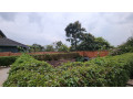kigali-house-for-rent-in-kimihurura-small-0
