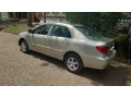 toyota-corolla-small-1