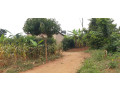 residential-plot-for-sale-in-bugesera-near-airport-hot-deal-small-0