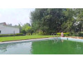 kigali-pool-house-available-for-rent-in-kiyovu-small-1