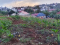 plot-for-sale-in-kicukiro-at-agood-place-small-4