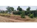 kagugu-residential-plot-for-sale-45million-small-0