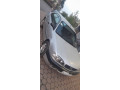 corolla-maco-small-1