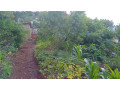 land-for-sale-small-4