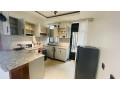 kigali-fully-furnished-apartment-for-rent-in-kimironko-small-2