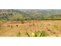 ndera-mukuyu-plot-for-sale-small-3