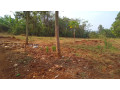 plot-for-sale-in-ndera-on-auctioncyamunara-small-7