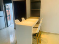 ep-103-gacuriro-gacuriro-paul-estate-very-nice-renovated-and-well-furnished-house-for-rent-small-6