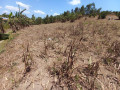 kinyinya-big-land-for-sale-small-13