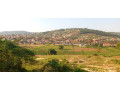 masizi-plo-for-sale-small-2