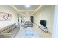 kigali-fully-furnished-apartment-for-rent-in-kimihurura-small-3