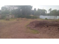 kigali-land-for-sale-in-rebero-small-5