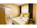 2bed-2batfully-furnished-apartm-small-1