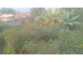 kigali-land-for-sale-in-nyamirambo-small-5