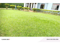kibagabaga-furnished-house-for-rent-in-kigali-small-0
