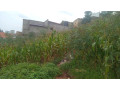 kigali-land-for-sale-in-gisozi-small-3