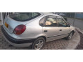 corolla-maco-small-0