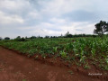 plot-for-sale-in-rugende-at-agood-place-small-3