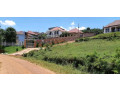 rebero-residential-plot-for-sale-95million-small-1